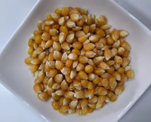 Maíz Curagua (Palomitas)